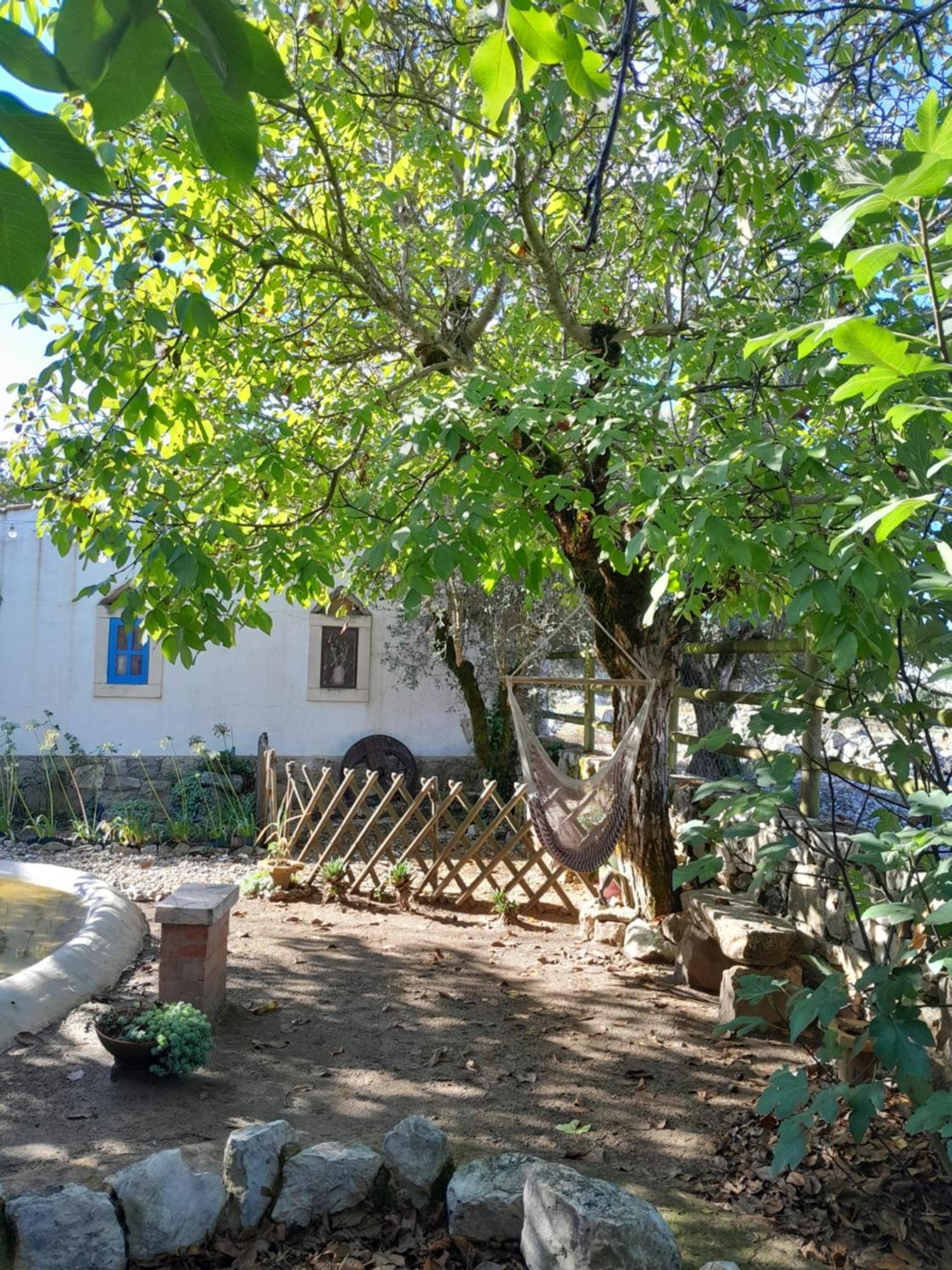 Refugio Das Artes Guesthouse ปอร์โต เด มอส ภายนอก รูปภาพ