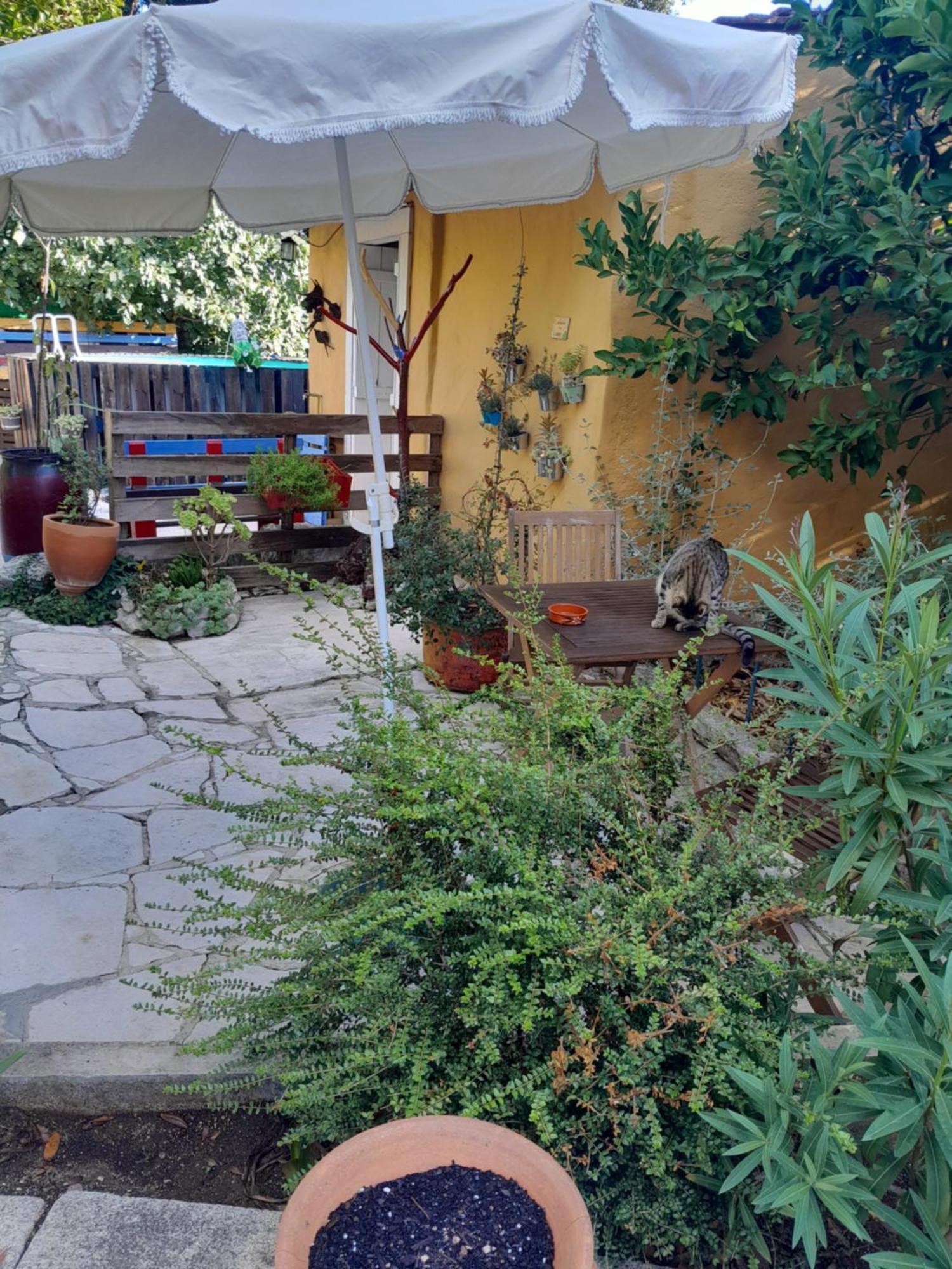 Refugio Das Artes Guesthouse ปอร์โต เด มอส ภายนอก รูปภาพ