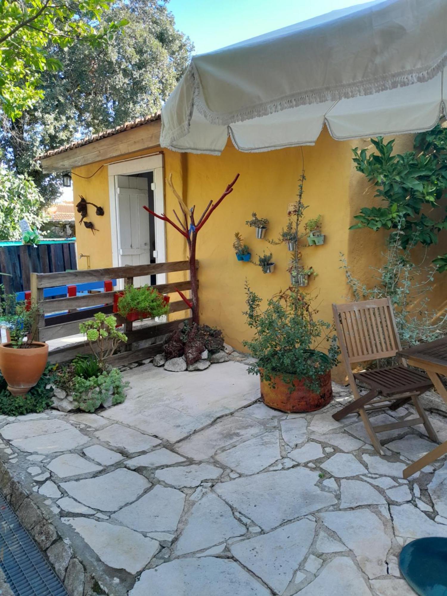 Refugio Das Artes Guesthouse ปอร์โต เด มอส ภายนอก รูปภาพ